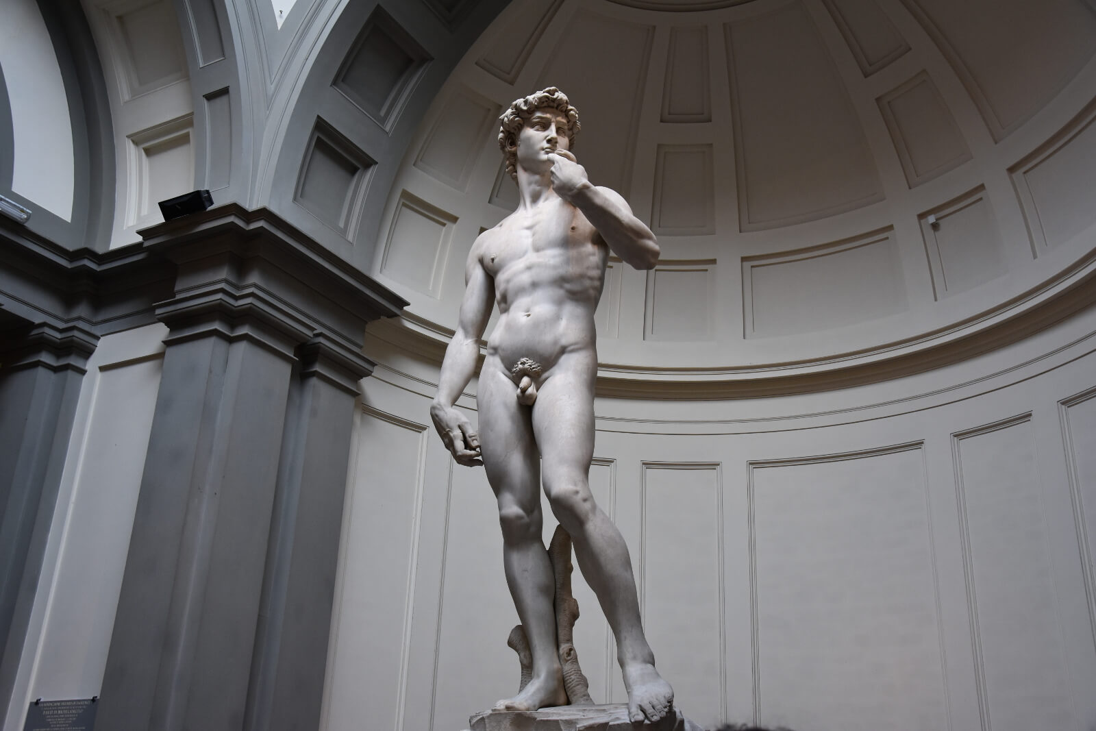 Michelangelo's David