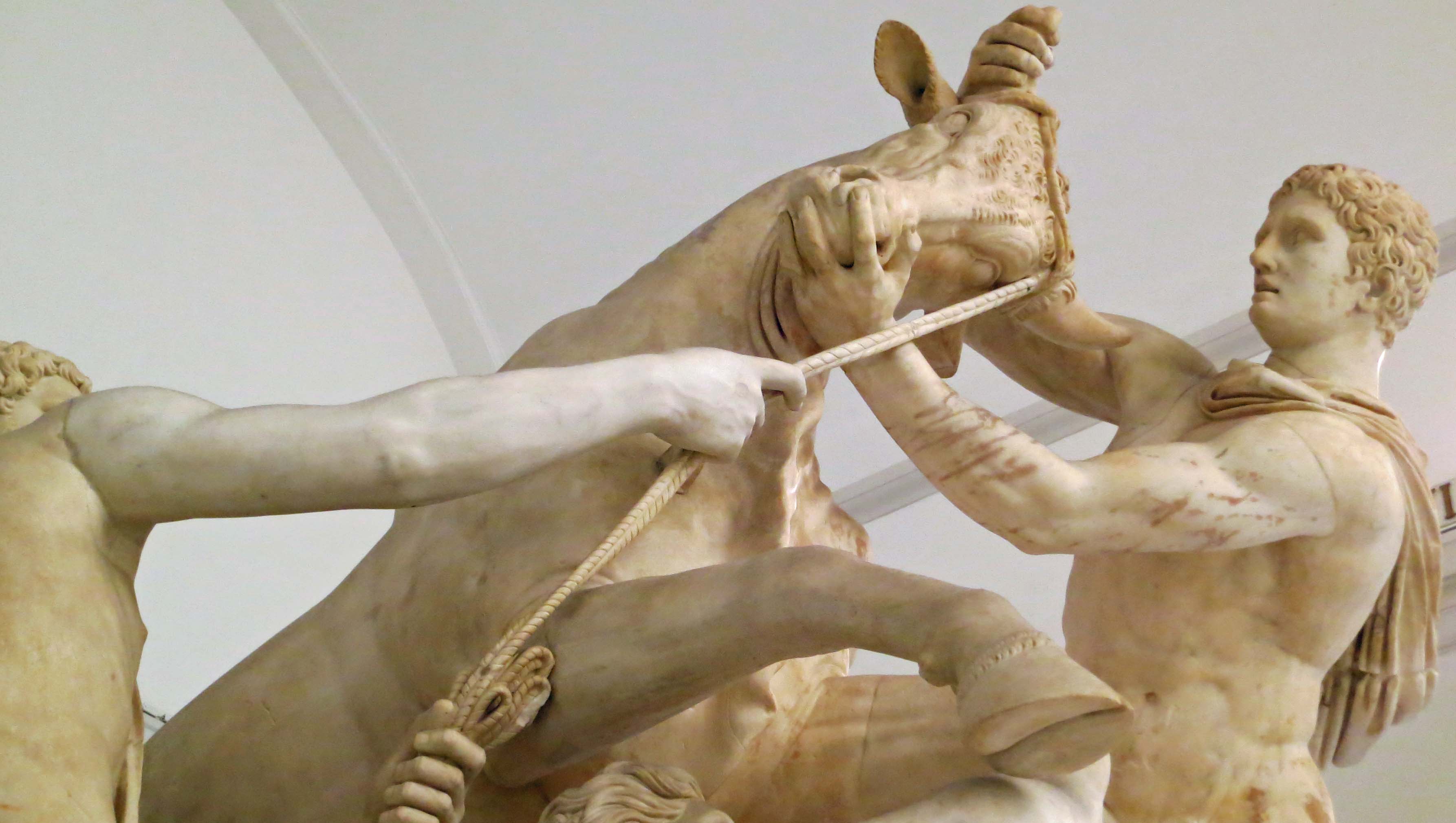 The Farnese Bull Closeup