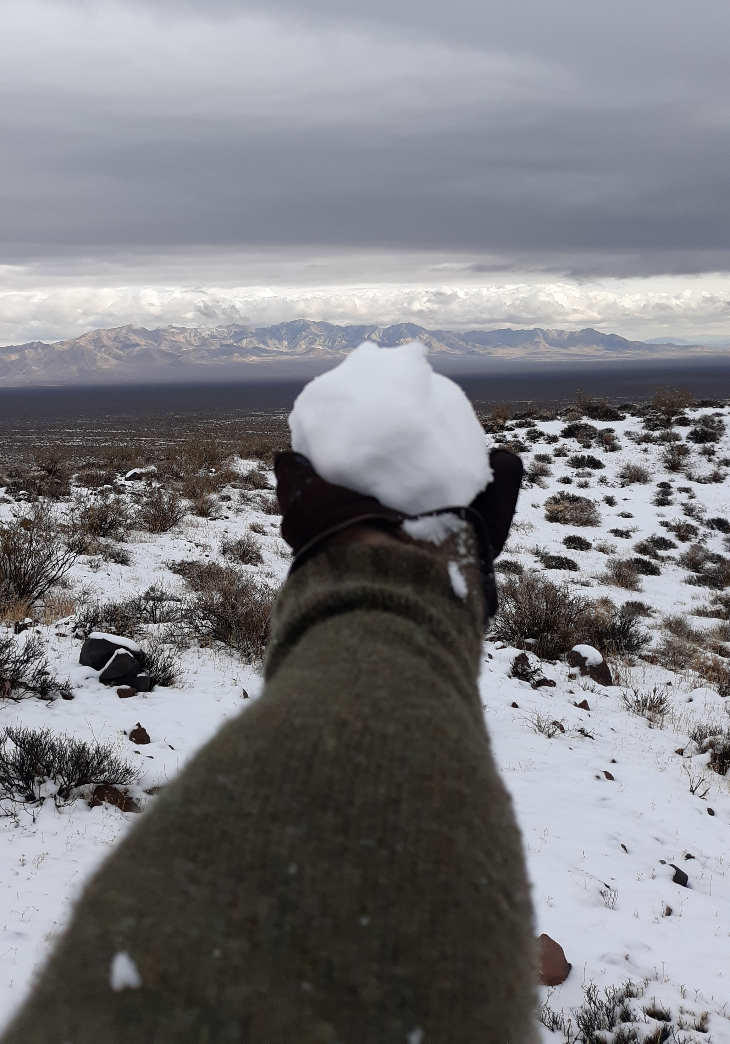 Death Valley, California, 2019