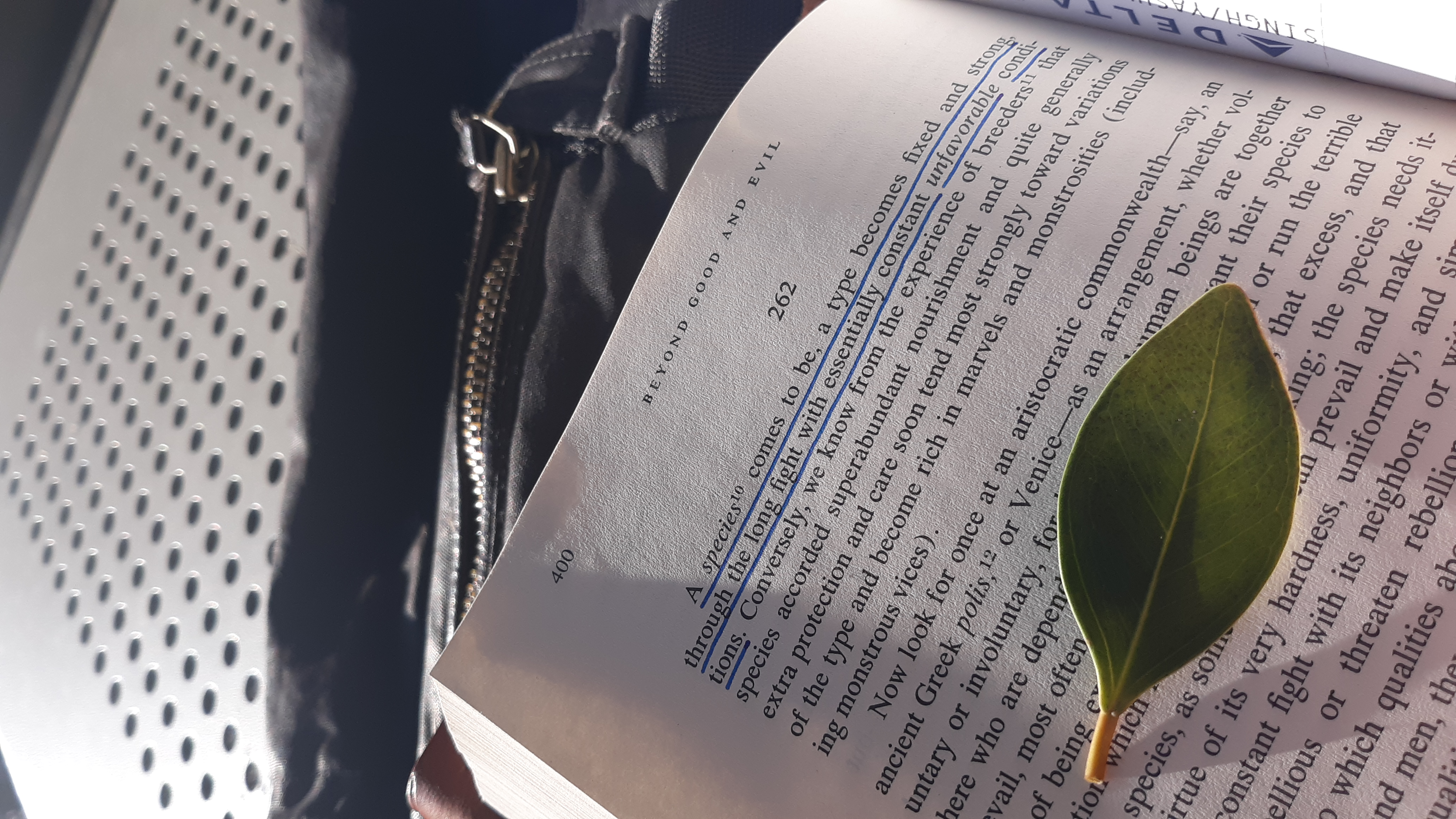 Beyond Good and Evil by Friedrich Nietzsche